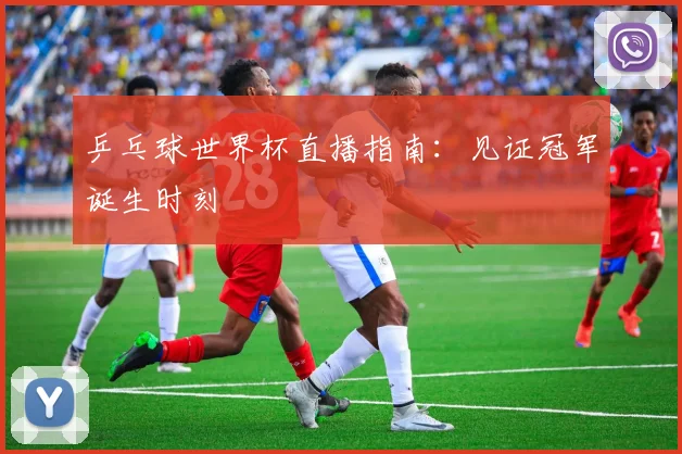乒乓球世界杯直播指南：见证冠军诞生时刻